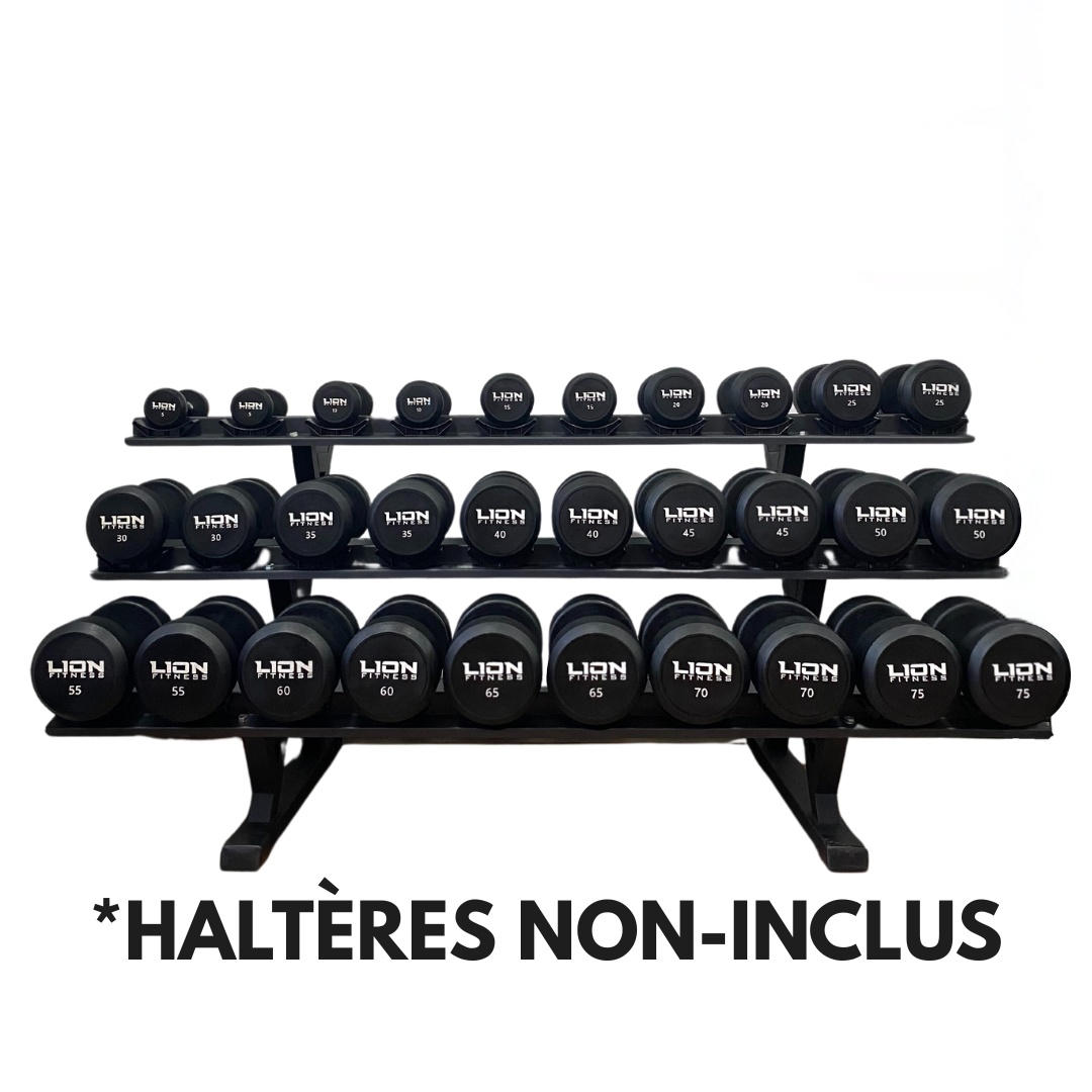 Support Mural Pour Poids – Acier Carbone – Rangement Musculation – Neuf