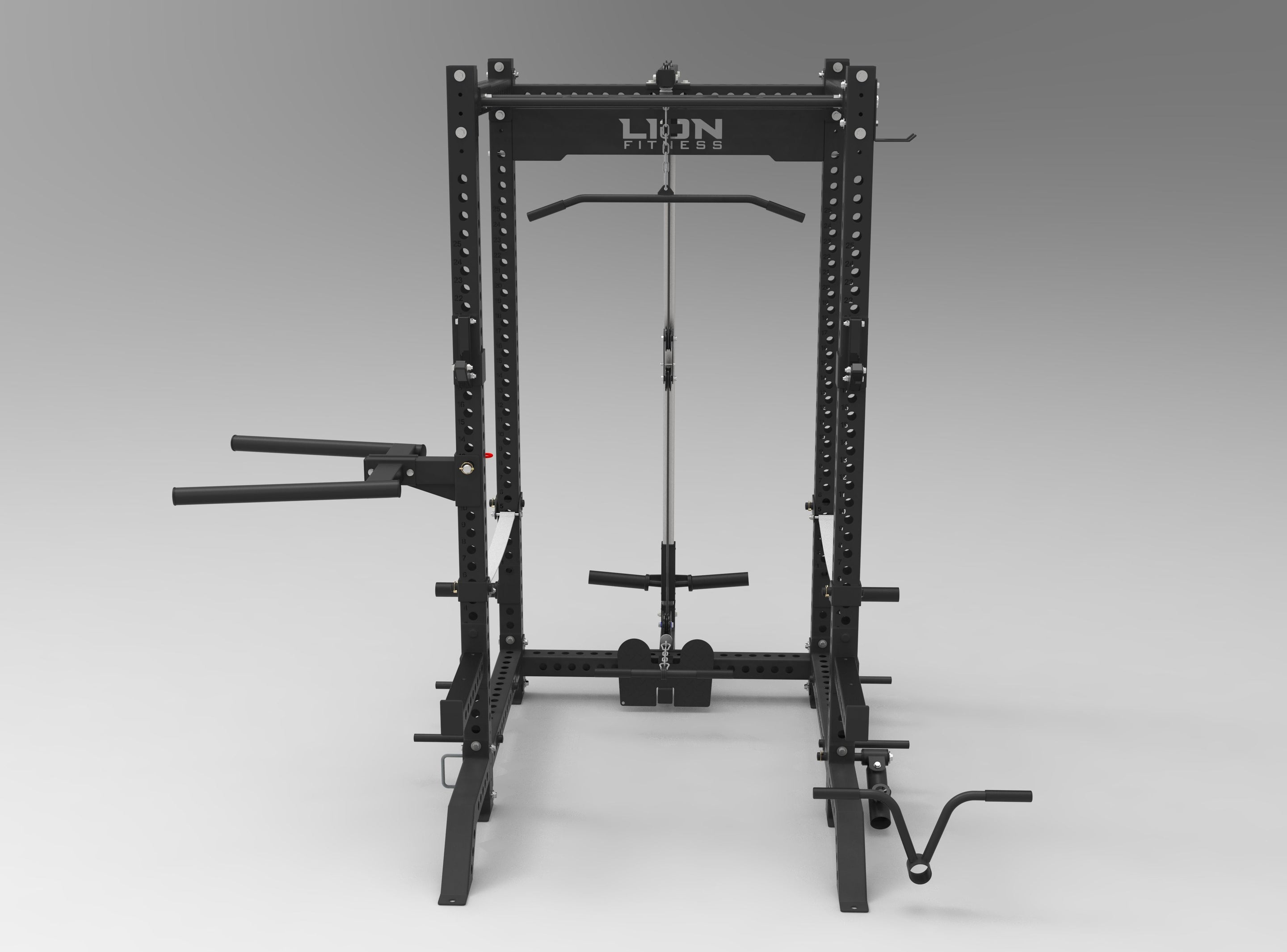 Lion Fitness