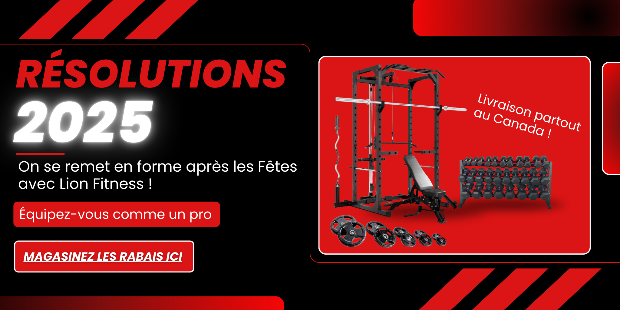 Lion Fitness